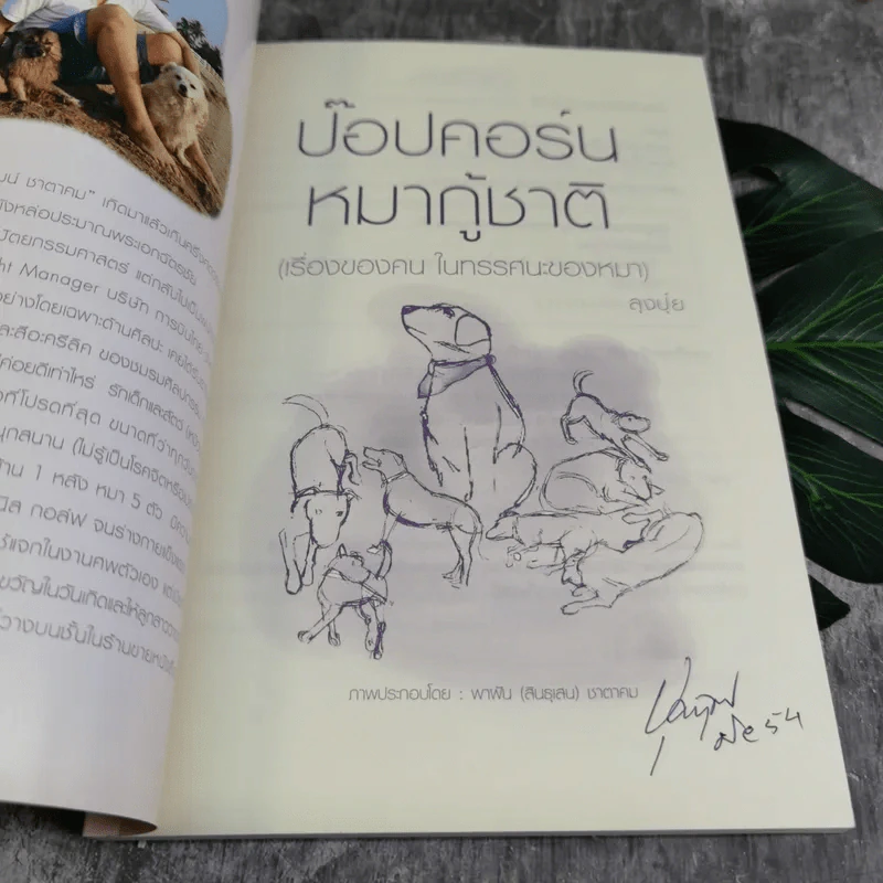 ป๊อปคอร์น หมากู้ชาติ (เรื่องของคน ในทรรศนะของหมา) - ลุงปุ๋ย รูปที่ 6