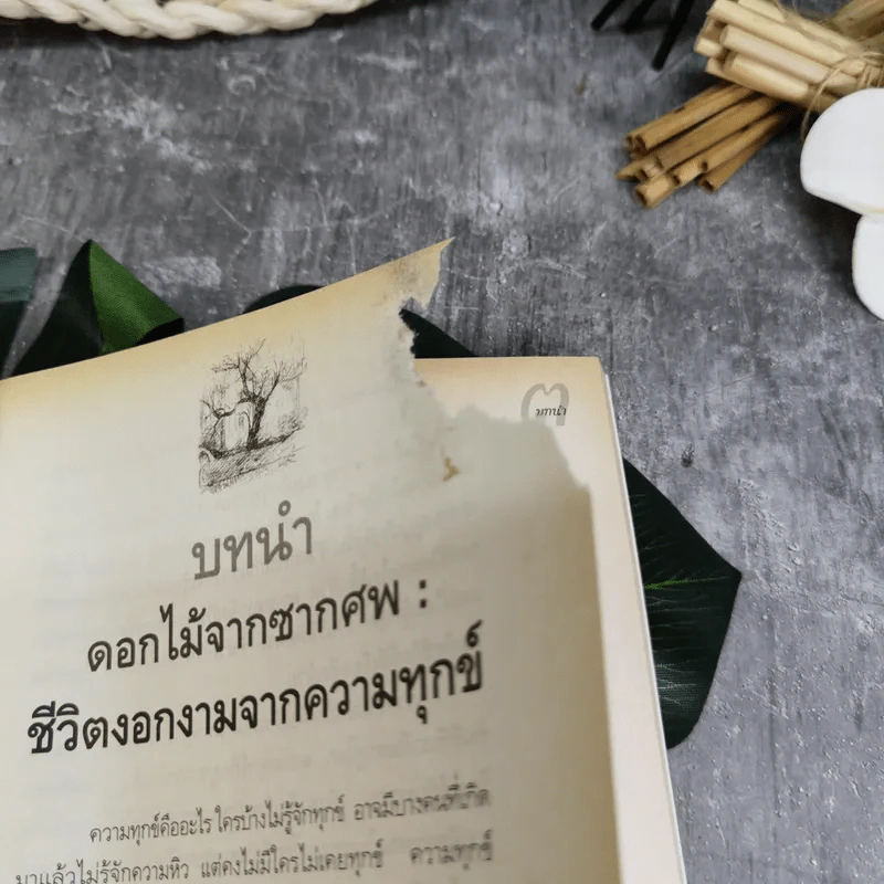 ไม่กลัวไม่ตาย อยู่อย่างมีความหมาย ตายอย่างมีชีวิต - สุวรรณา โชคประจักษ์ชัด อุชุคตานนท์ รูปที่ 8