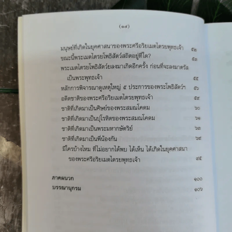 พระศรีอริยเมตไตรยพุทธเจ้า (พระศรีอารีย์) -  พ.ต.อ.ประยูร ดิษฐานพงศ์ รูปที่ 10