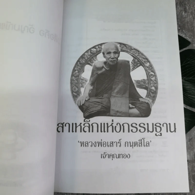 เสาเหล็กแห่งกรรมฐาน หลวงพ่อเสาร์ กนตสีโล - เจ้าคุณทอง รูปที่ 5