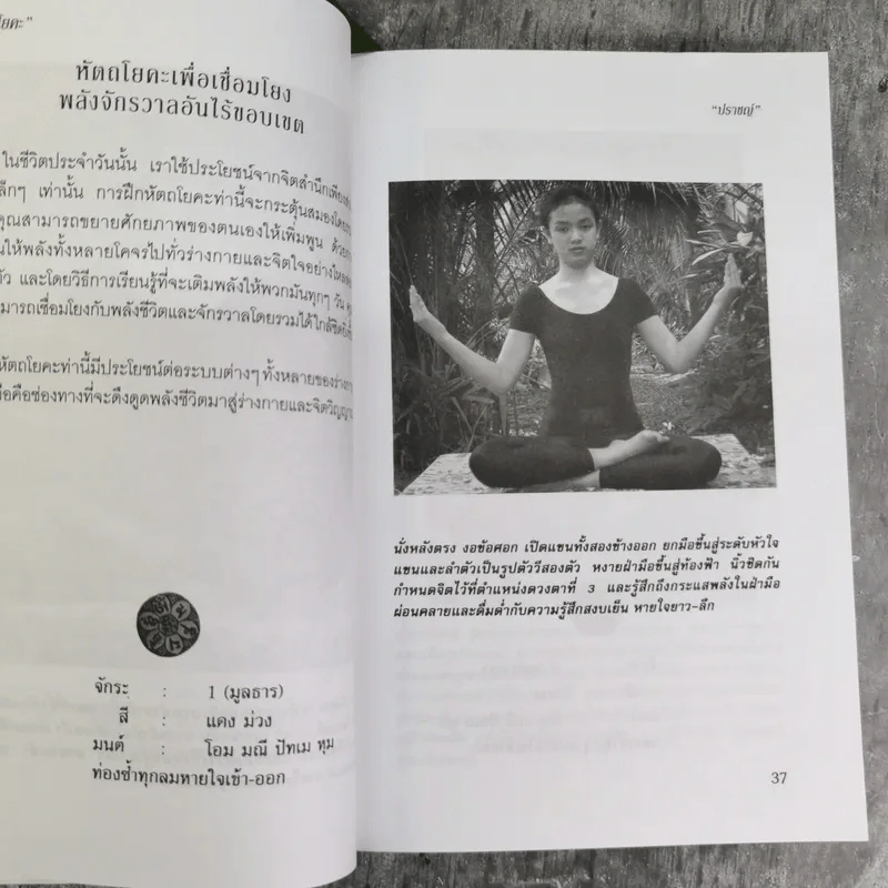 หัตถโยคะ ศาสตร์แห่งสมาธิ และวิถีบำบัดกาย-ใจ - ปราชญ์ รูปที่ 10