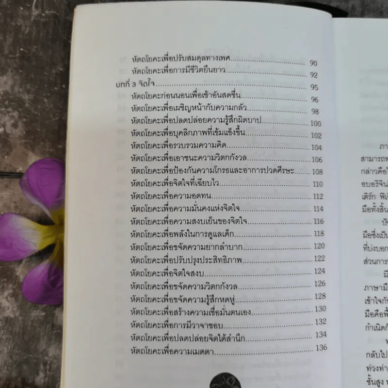 หัตถโยคะ ศาสตร์แห่งสมาธิ และวิถีบำบัดกาย-ใจ - ปราชญ์ รูปที่ 8