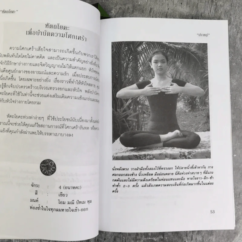 หัตถโยคะ ศาสตร์แห่งสมาธิ และวิถีบำบัดกาย-ใจ - ปราชญ์ รูปที่ 11