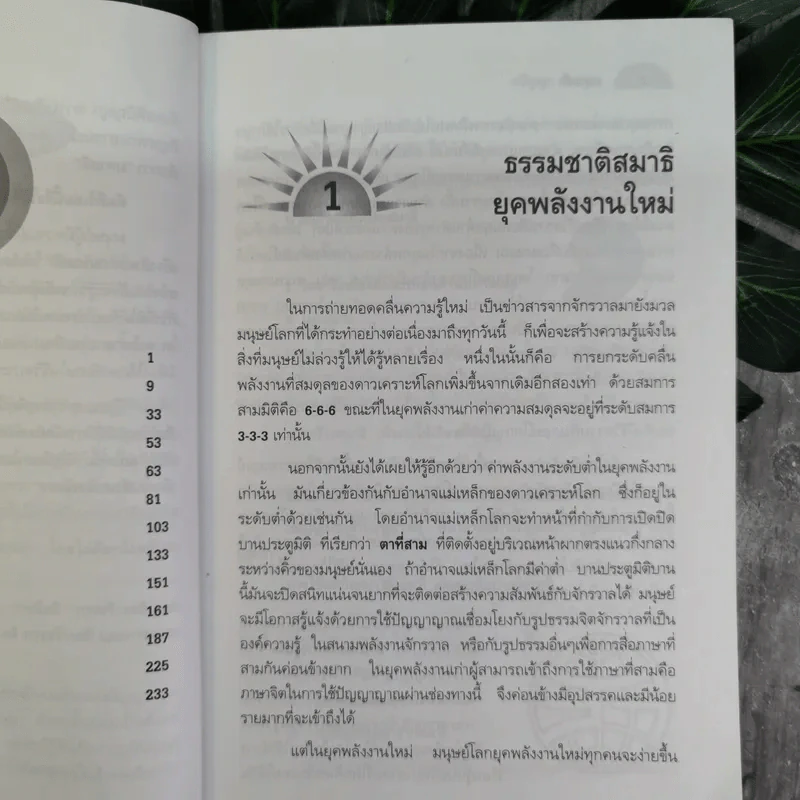 มหาสติ - ปริญญา ตันสกุล รูปที่ 8