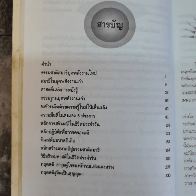 มหาสติ - ปริญญา ตันสกุล รูปที่ 7