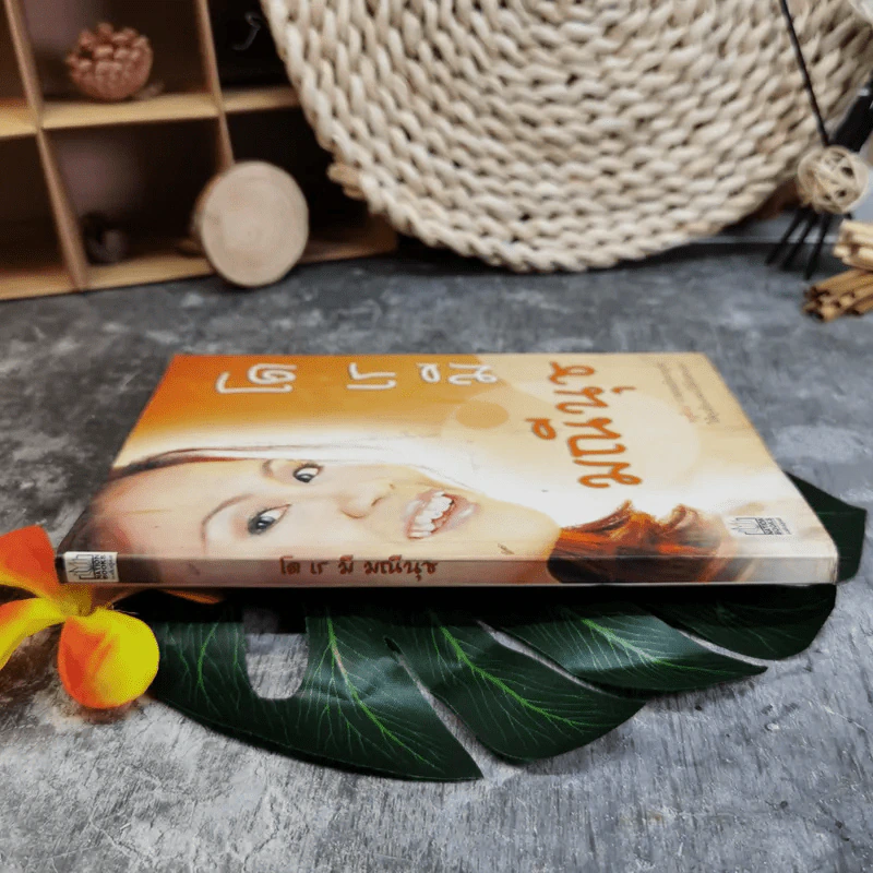 โด เร มี มณีนุช - มณีนุช เสมรสุต (หนังสือสอนร้องเพลง) รูปที่ 3