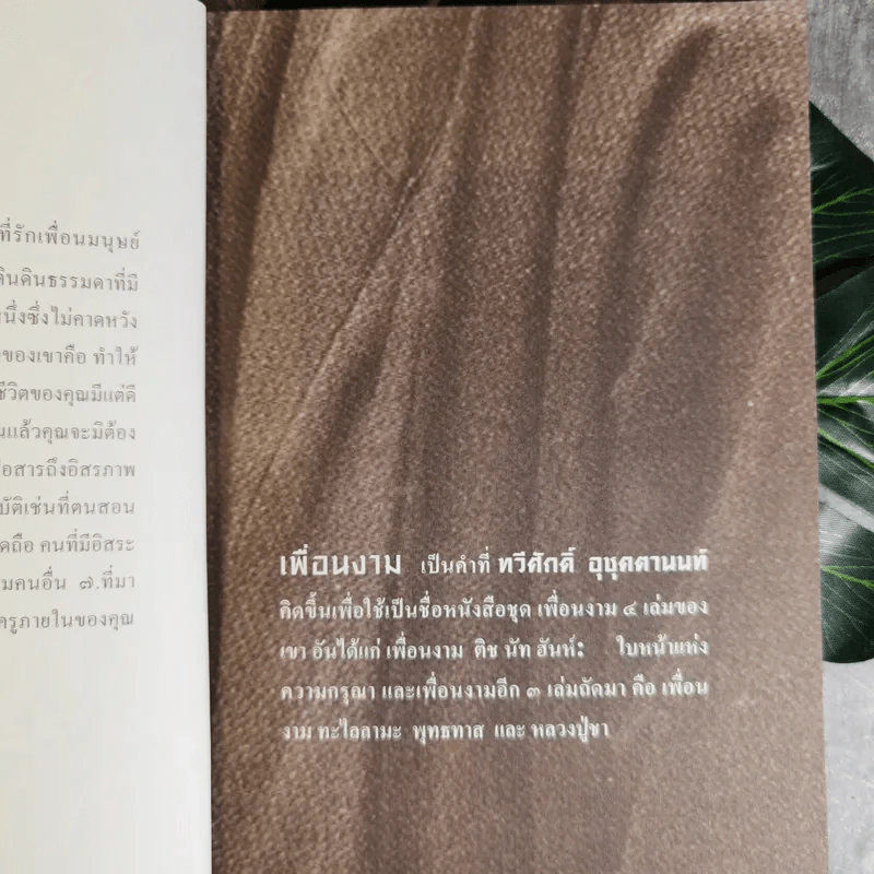 เพื่อนงาม I ติช นัท ฮันห์ - ทวีศักดิ์ อุชุคตานนท์ (ผู้แต่งเพลงดั่งดอกไม้บาน) รูปที่ 9