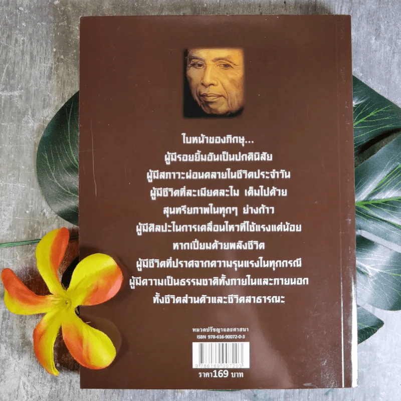 เพื่อนงาม I ติช นัท ฮันห์ - ทวีศักดิ์ อุชุคตานนท์ (ผู้แต่งเพลงดั่งดอกไม้บาน) รูปที่ 2