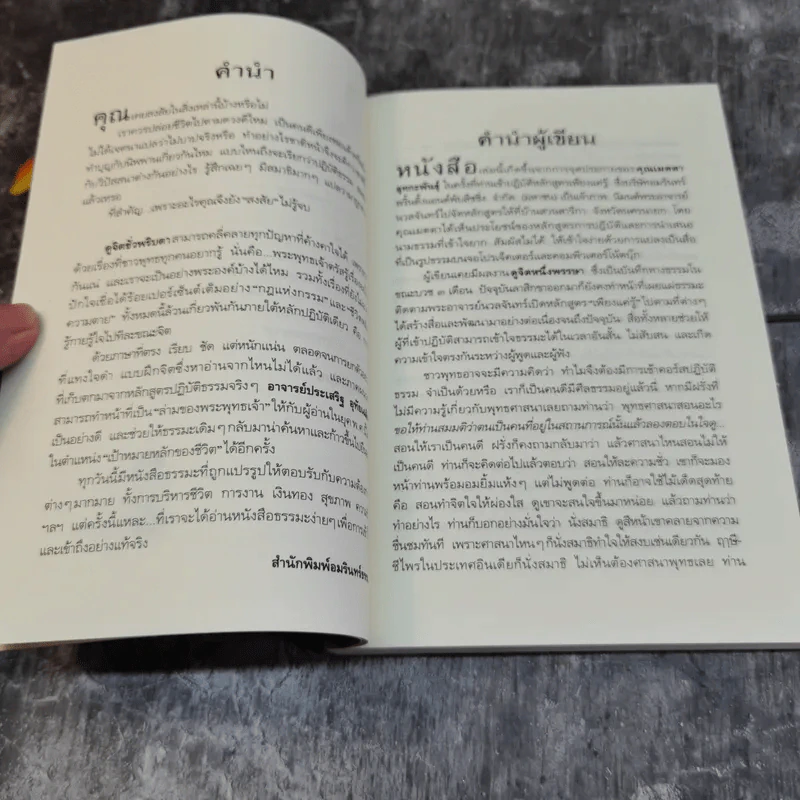 ดูจิตชั่วพริบตา - ปัญญาวโรภิกขุ (ประเสริฐ อุทัยเฉลิม) รูปที่ 7