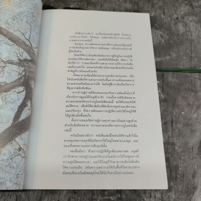 สนุกกับไม้ใหญ่ - ธราดล ทันด่วน รูปที่ 9