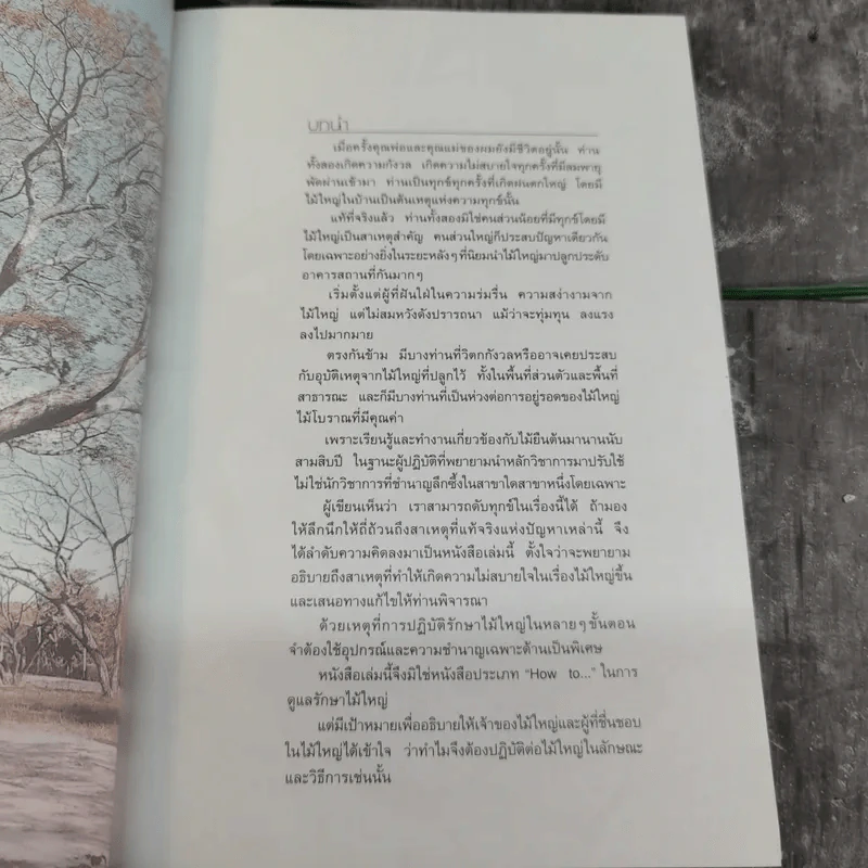 สนุกกับไม้ใหญ่ - ธราดล ทันด่วน รูปที่ 8
