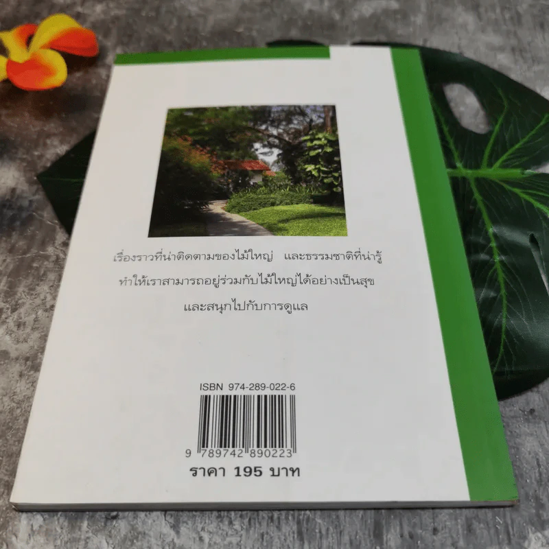 สนุกกับไม้ใหญ่ - ธราดล ทันด่วน รูปที่ 11