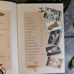 คนรักแมว - สมัคร สุนทรเวช รูปที่ 12