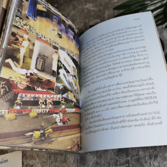 เที่ยวไป ทึ่งไป - อู่ทอง ประศาสน์วินิจฉัย รูปที่ 16