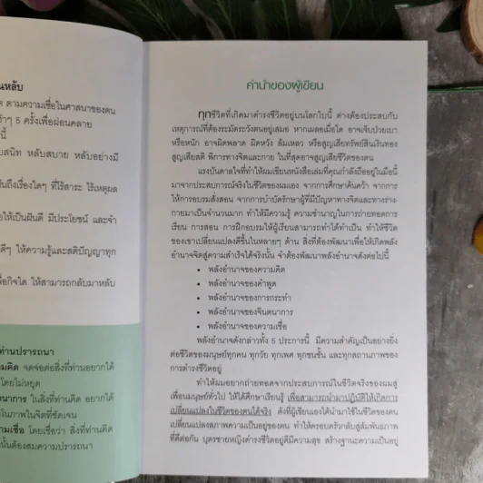 Reveal The Secret of Mind Power For Success เผยความลับของพลังจิตสู่ความสำเร็จ - ดร.บุญเลิศ สายสนิท รูปที่ 12