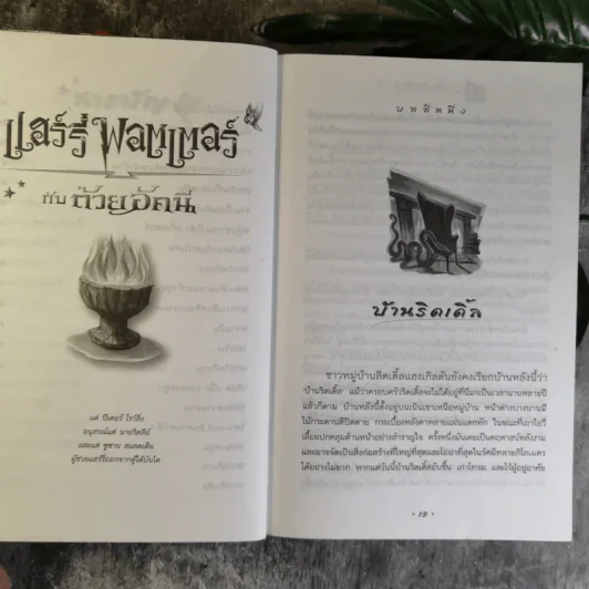 แฮร์รี่ พอตเตอร์ กับ ถ้วยอัคนี Harry Potter And Goblet of Fire รูปที่ 13