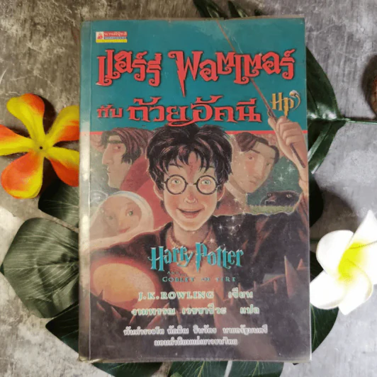 แฮร์รี่ พอตเตอร์ กับ ถ้วยอัคนี Harry Potter And Goblet of Fire รูปที่ 1