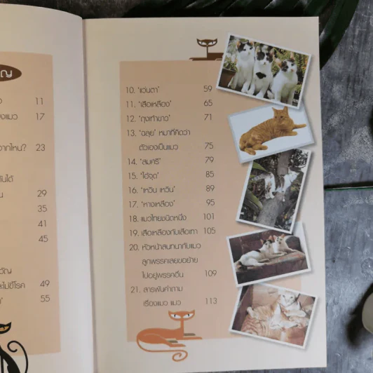 คนรักแมว - สมัคร สุนทรเวช รูปที่ 12