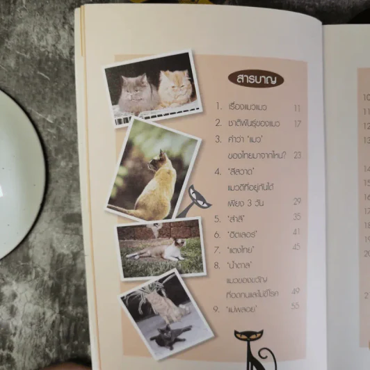 คนรักแมว - สมัคร สุนทรเวช รูปที่ 11