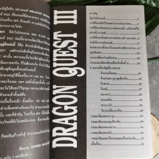 คู่มือเฉลยเกม Dragon Quest III รูปที่ 8