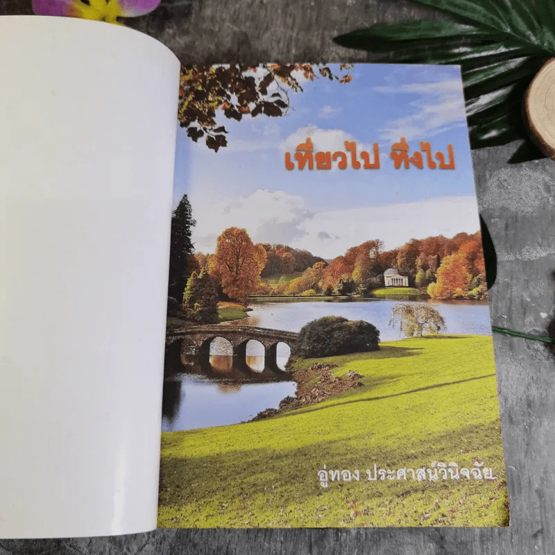 เที่ยวไป ทึ่งไป - อู่ทอง ประศาสน์วินิจฉัย รูปที่ 5