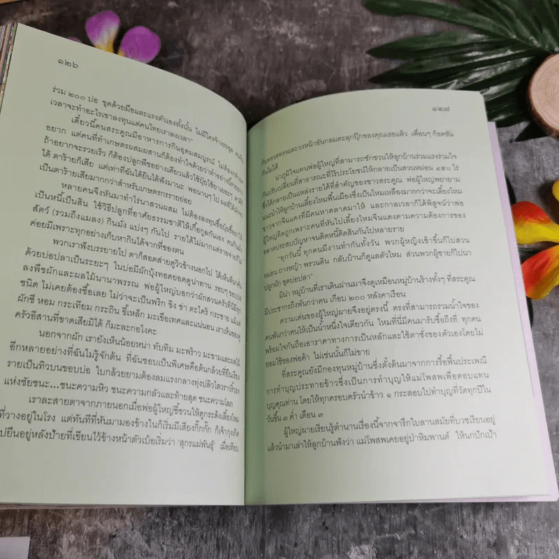 เที่ยวไป ทึ่งไป - อู่ทอง ประศาสน์วินิจฉัย รูปที่ 13