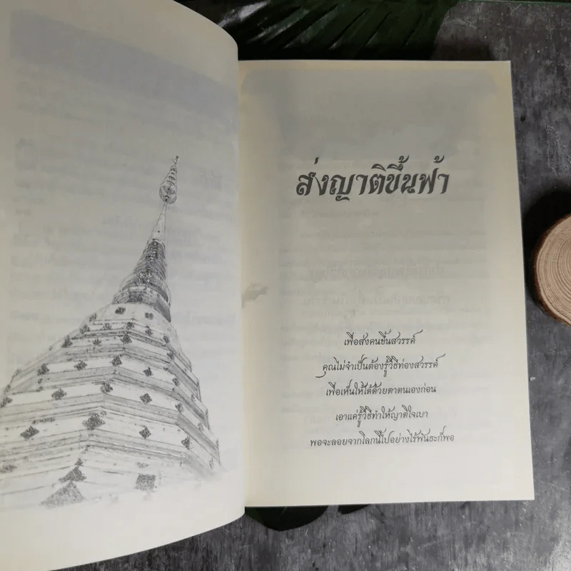 เสียดายคนตายไม่ได้อ่าน ฉบับ เกิดใหม่ในสวรรค์ - ดังตฤณ รูปที่ 12