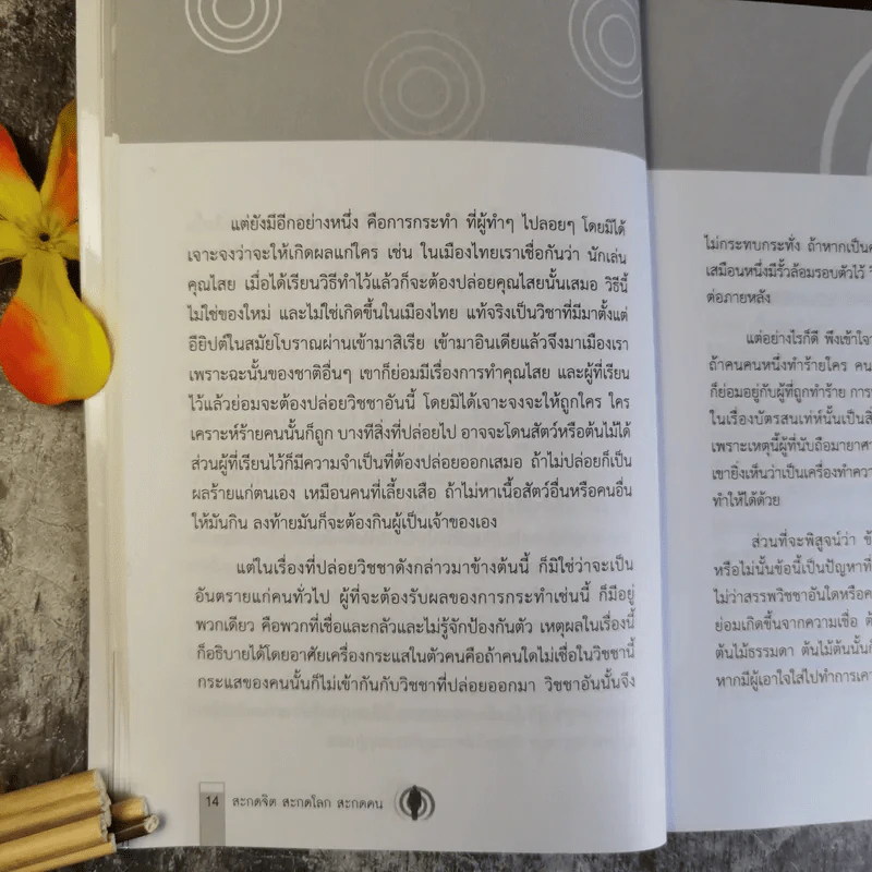 สะกดจิต สะกดโลก สะกดคน - นภัสนันท์ รูปที่ 14