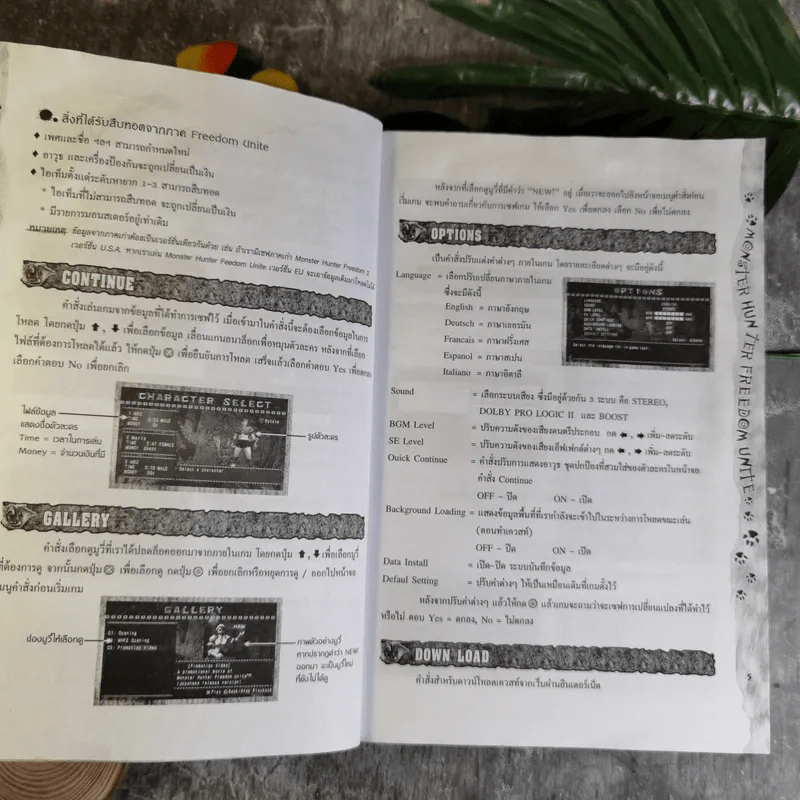 คู่มือเฉลยเกม Monster Hunter Freedom Unite รูปที่ 9