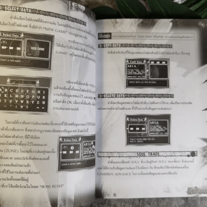 คู่มือเฉลยเกม Castlevania: Aria of Sorrow รูปที่ 8