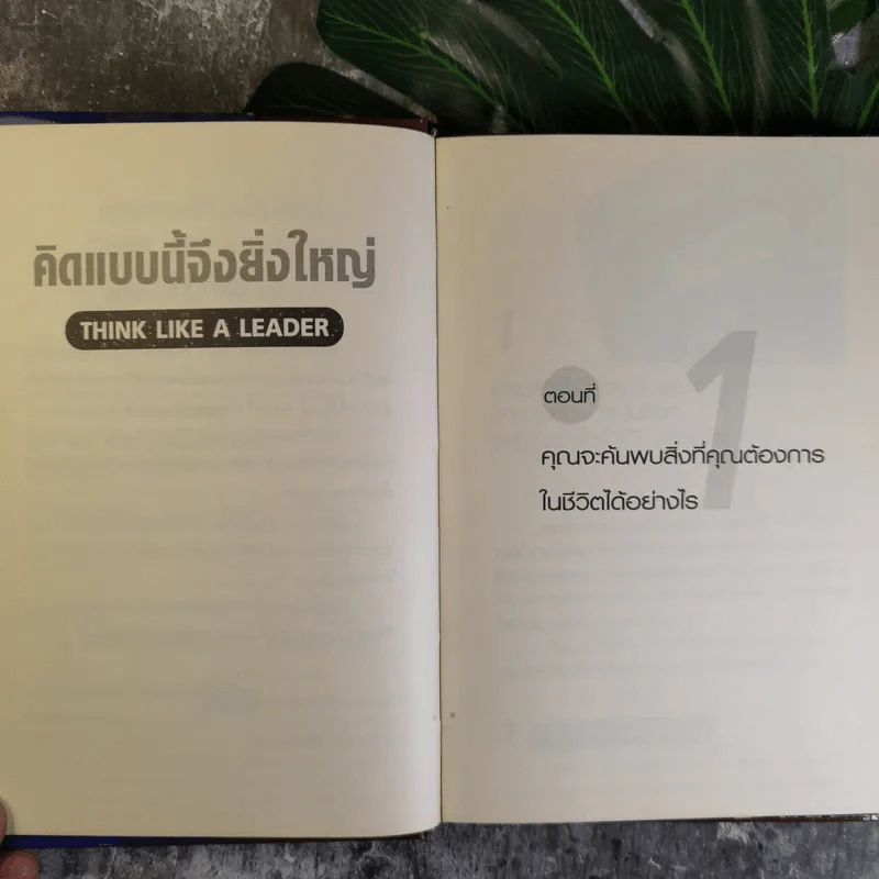 คิดแบบนี้จึงยิ่งใหญ่ Think like a  Leader - Mirasalaf Dobrev รูปที่ 9
