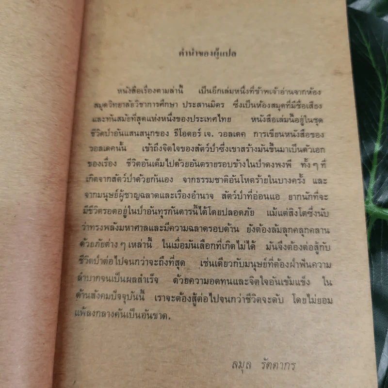 ตามล่า! ชีวิตการผจญภัยของสิงห์หนุ่ม (หนังสืออ่านนอกเวลา) รูปที่ 5