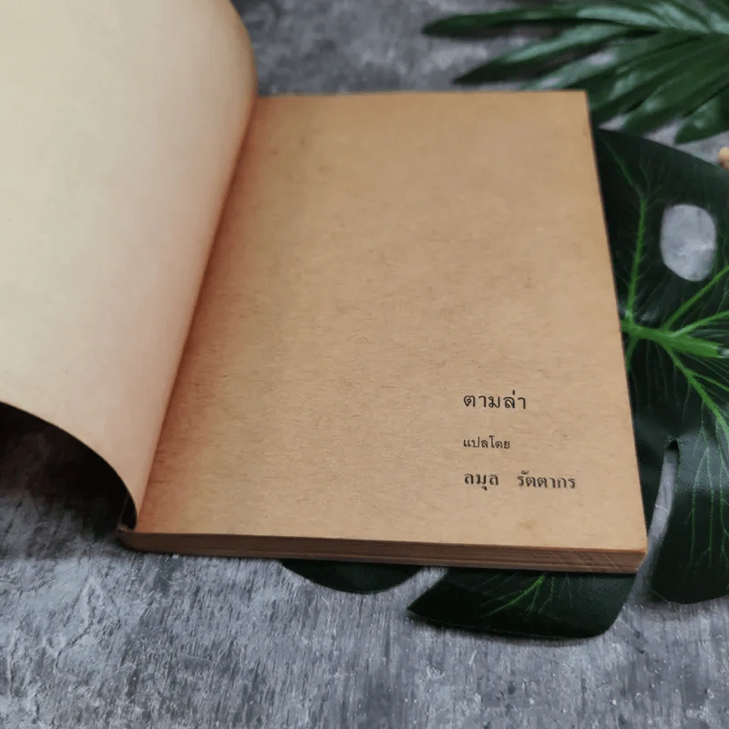ตามล่า! ชีวิตการผจญภัยของสิงห์หนุ่ม (หนังสืออ่านนอกเวลา) รูปที่ 3