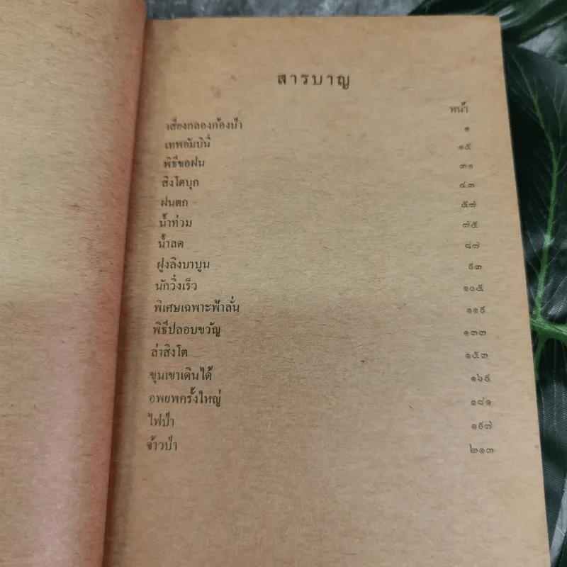 ตามล่า! ชีวิตการผจญภัยของสิงห์หนุ่ม (หนังสืออ่านนอกเวลา) รูปที่ 6