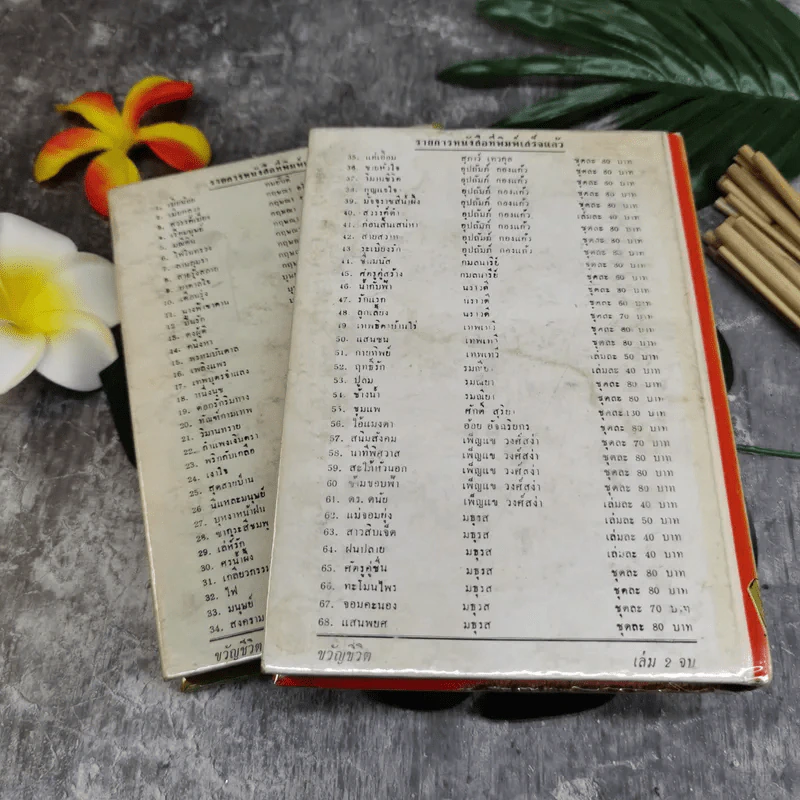 ขวัญชีวิต 2 เล่มจบ - ลักษณ์ โรจนา รูปที่ 8