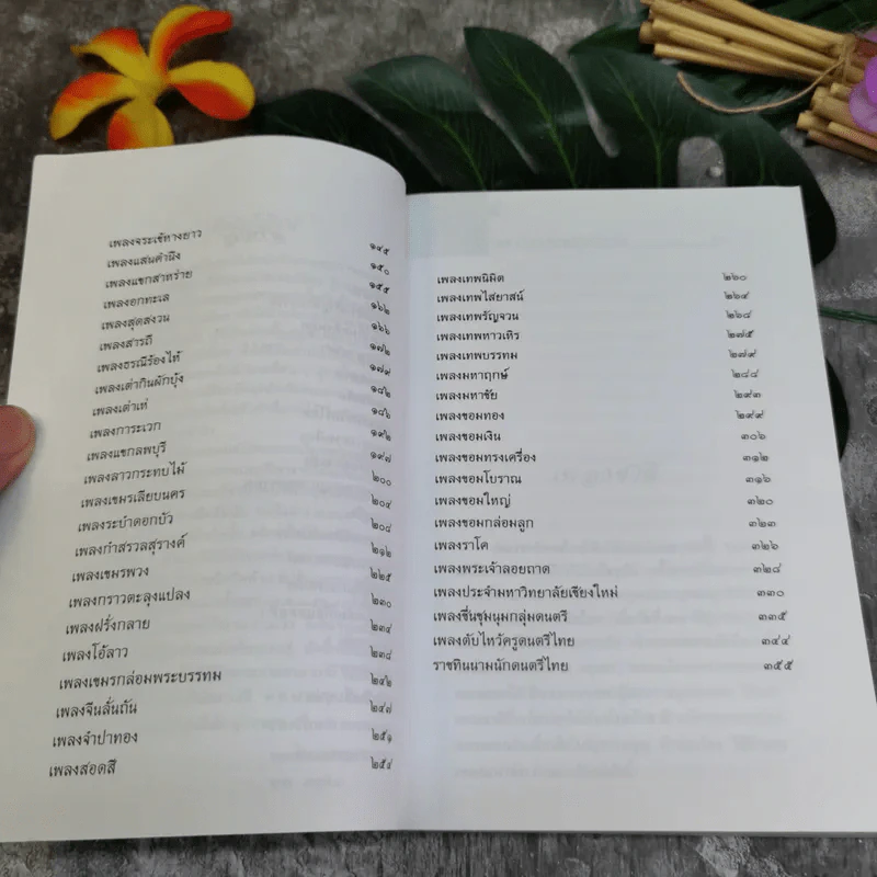 เพลงไทยตามนัยประวัติ - ครูเงิน รูปที่ 5