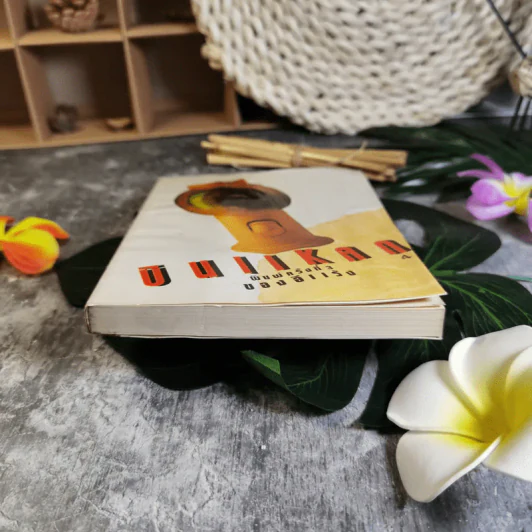 บินแหลก - อีแร้ง รูปที่ 4