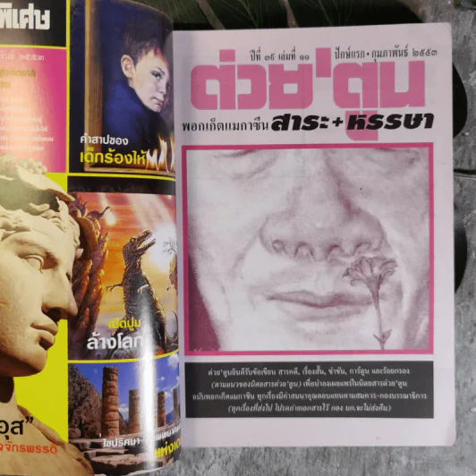 ต่วยตูน ปีที่ 39 เล่มที่ 11 ปักษ์แรก ก.พ.2553 ใหญ่ นภายน รูปที่ 7