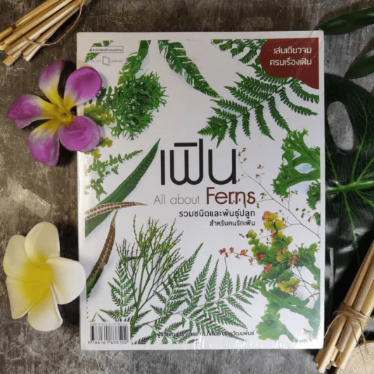 เฟิน All about Ferns รวมชนิดและพันธุ์ปลูก สำหรับคนรักเฟิน รูปที่ 1