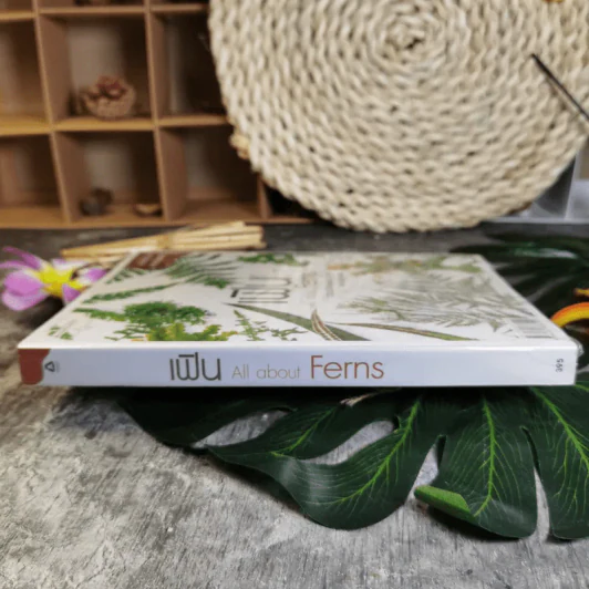 เฟิน All about Ferns รวมชนิดและพันธุ์ปลูก สำหรับคนรักเฟิน รูปที่ 3
