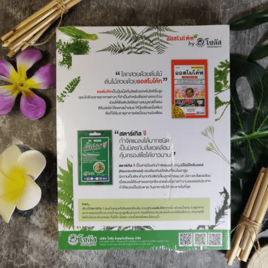 เฟิน All about Ferns รวมชนิดและพันธุ์ปลูก สำหรับคนรักเฟิน รูปที่ 2