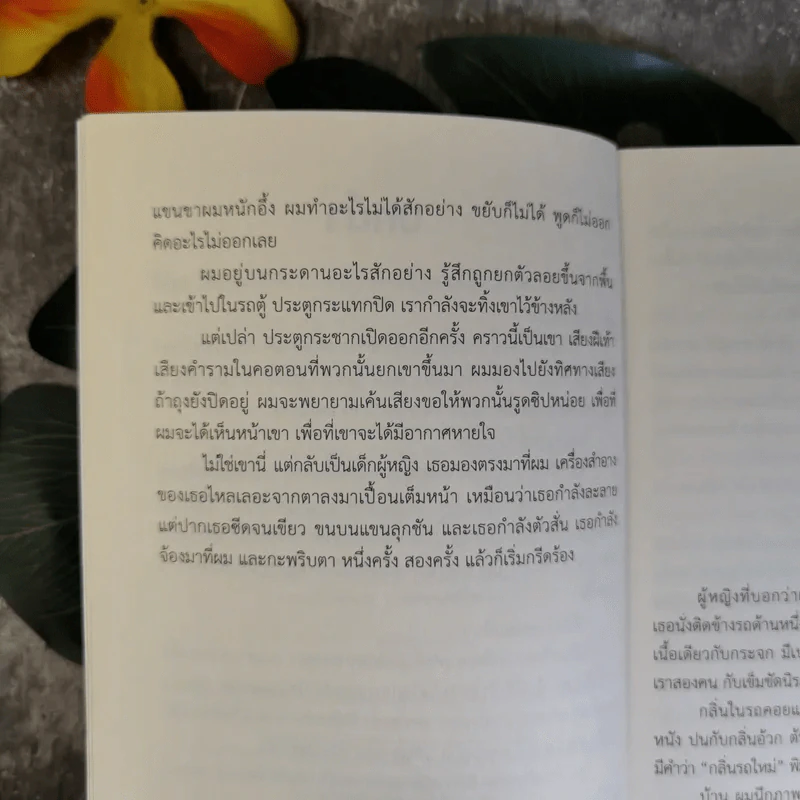 ทะเลสาบสีเลือด - ราเชล วอร์ด รูปที่ 10