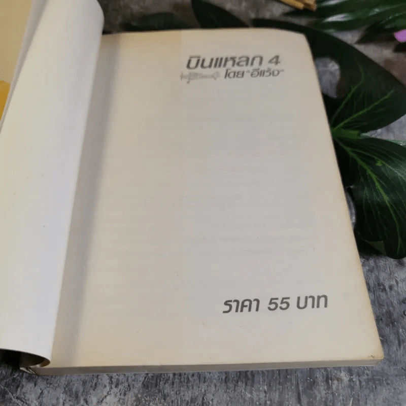 บินแหลก - อีแร้ง รูปที่ 8