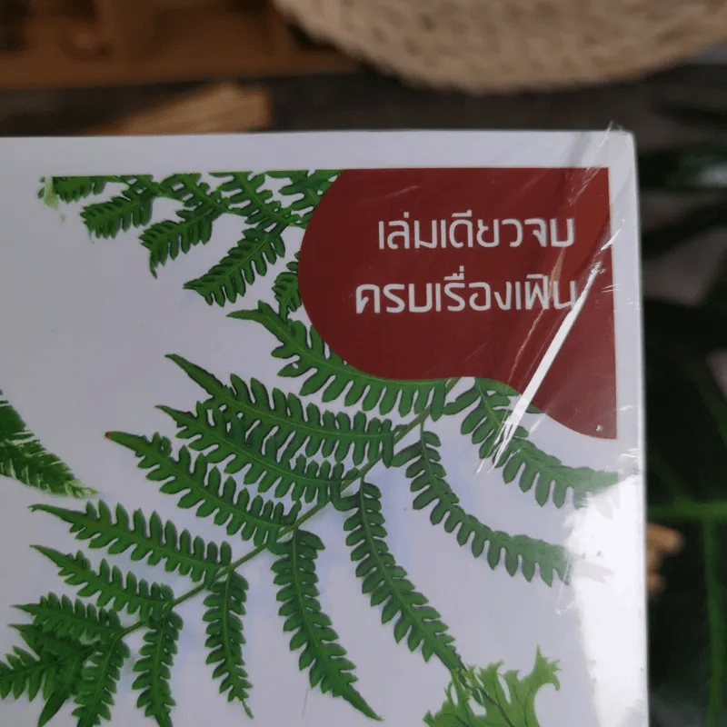เฟิน All about Ferns รวมชนิดและพันธุ์ปลูก สำหรับคนรักเฟิน รูปที่ 11