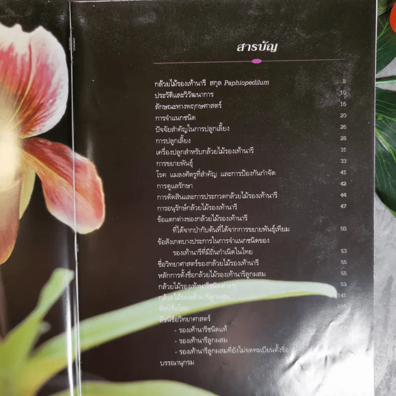 กล้วยไม้รองเท้านารี - อุไร จิรมงคลการ รูปที่ 11