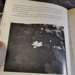 หนังสือที่ระลึกในงานพระราชทานเพลิงศพ ม.ร.ว.พูนสวาท กฤดากร ณ เมรุวัดธาตุทอง รูปที่ 16