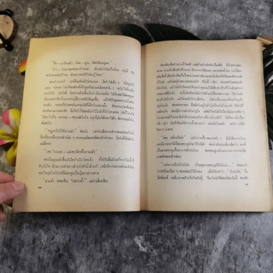 รวมเรื่องสั้นของสุวรรณี สุคนธา รูปที่ 13