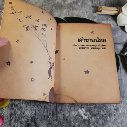 เจ้าชายน้อย แปลจาก Le Petit Prince - อำพรรณ โอตระกูล แปล รูปที่ 6