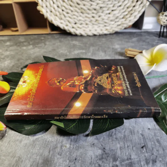 สมาธิบำบัดกับการรักษาโรคมะเร็ง อโรคยศาล รูปที่ 2