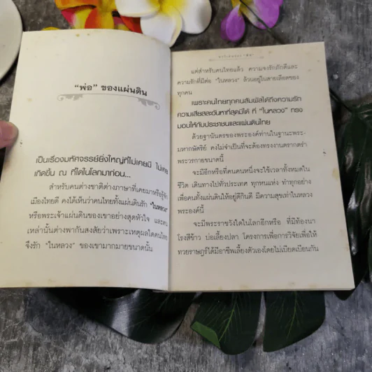 พรวิเศษของพ่อ รูปที่ 5